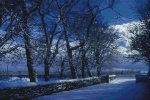 (image for) Snowy Path